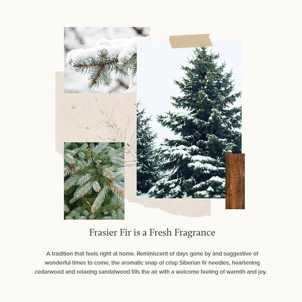 Frasier Fir Fragrant Refresher Oil - 1 Fl Oz - Aromatherapy Oil - Long Lasting Scent